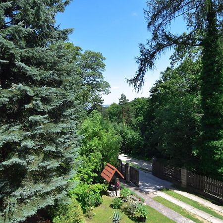 Apartamento Staszica16 Złoty Stok Exterior foto